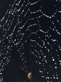 Low angle view of illuminated sky at night