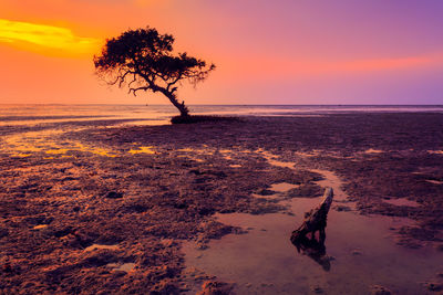 Scenic view of sea against orange sky