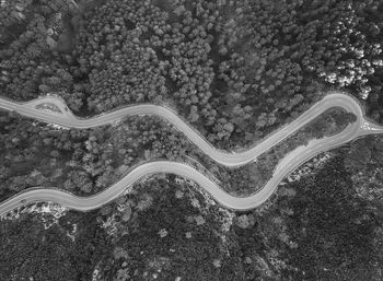 High angle view of trees on road