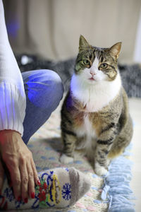 Midsection of person with cat relaxing on hand