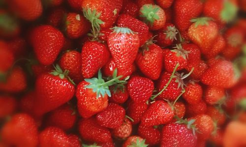 Full frame of strawberries