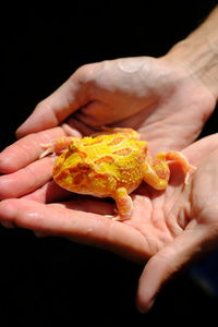 Close-up of person holding ice cream cone against black background