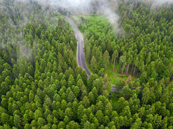 High angle view of road amidst trees in forest