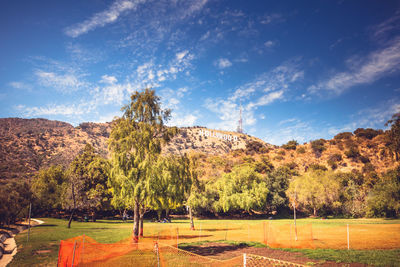 Trees on field against sky