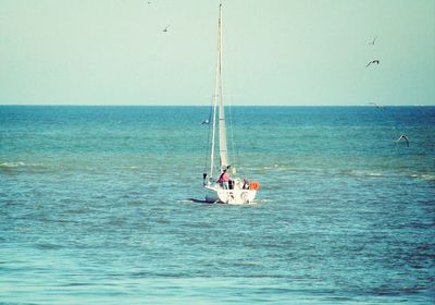 People sailing sailboat in sea against sky