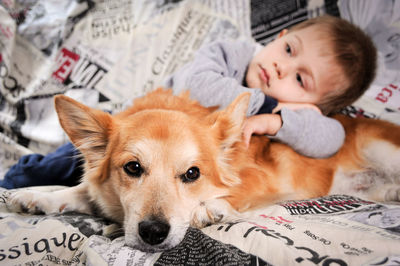 Portrait of dog lying on bed