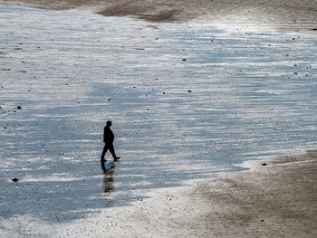 High angle view of man walking on beach