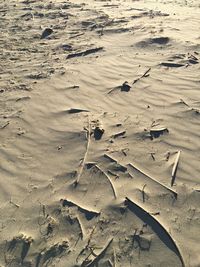 High angle view of footprints on sand at beach