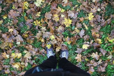 Low section of person standing on dry leaves on field