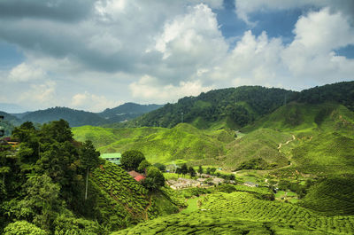 Scenic view of agricultural landscape against sky