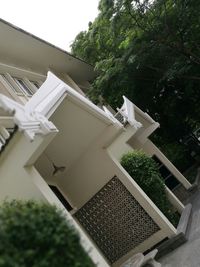 House with trees in background