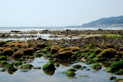 Scenic view of sea against clear sky