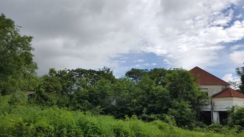 Trees and houses on field against sky
