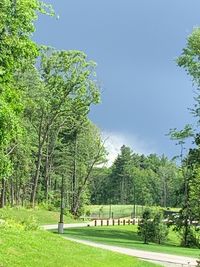 Trees on field against sky