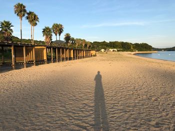 Shadow of people on beach