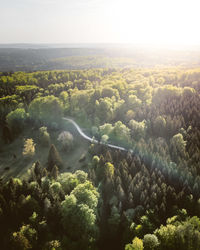 High angle view of trees and cityscape against sky