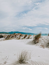 Scenic view of beach against sky