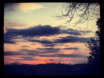 Silhouette of tree against sky at sunset