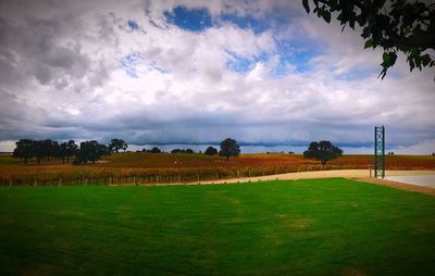 Scenic view of field against sky