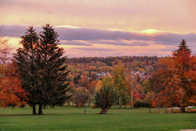 Trees on field against sky during autumn