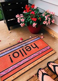 High angle view of potted plants on street