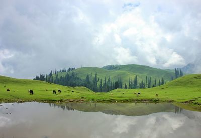 Scenic view of grassy field against cloudy sky