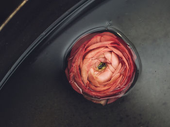 High angle view of food on table