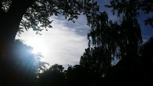 Low angle view of trees against sky