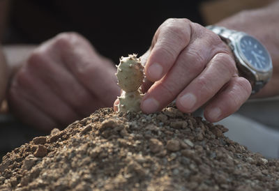 Close-up of hand holding rock