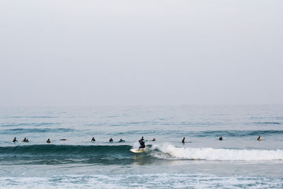 People enjoying in sea