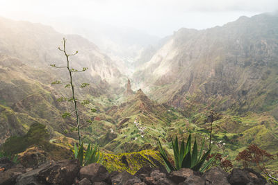 High angle view of plants against mountain