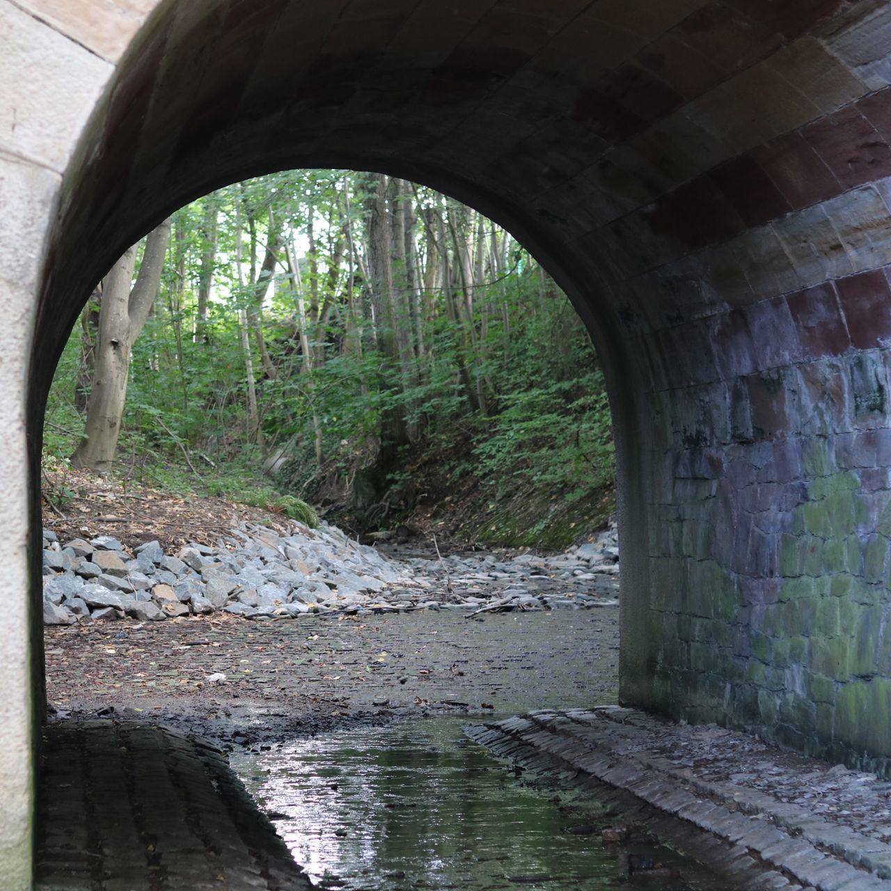 ARCH BRIDGE OVER RIVER AMIDST TREES