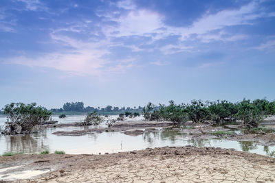 Scenic view of beach against sky