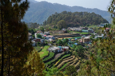 High angle view of buildings in forest