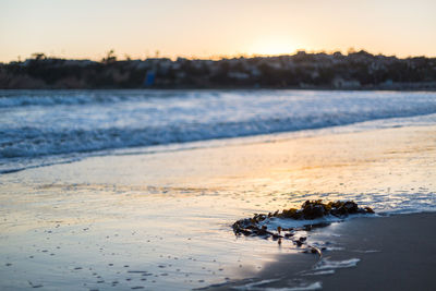 Birds on beach against sky during sunset