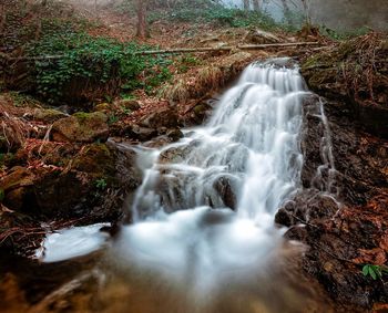 Scenic view of waterfall in forest