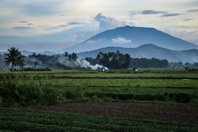 Scenic view of agricultural field against sky