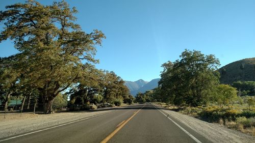 Road amidst trees against clear blue sky