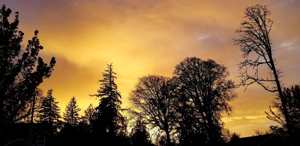 Low angle view of silhouette trees against sky during sunset