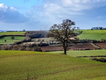 Scenic view of field against cloudy sky