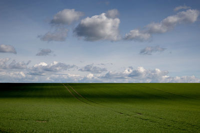 Scenic view of agricultural field against sky