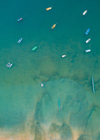 Aerial view of people swimming in sea