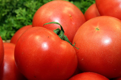 Close-up of tomatoes