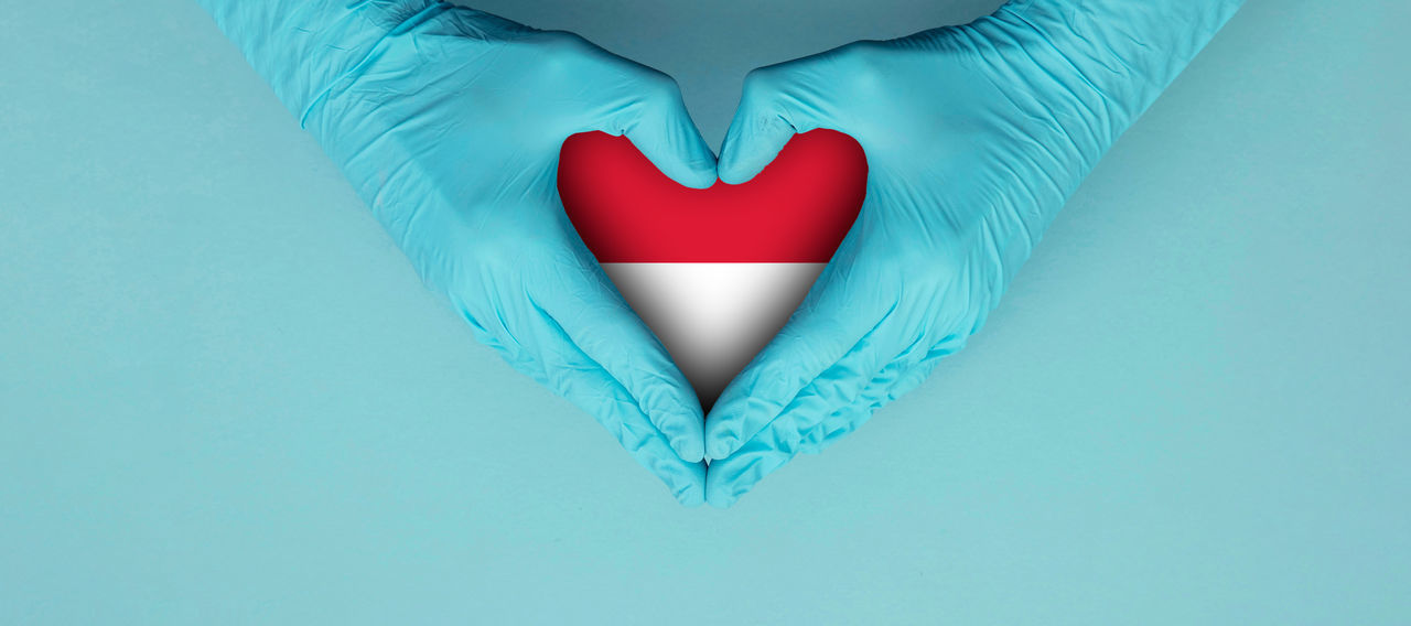 heart shape, heart, love, positive emotion, valentine's day, emotion, blue, studio shot, romance, colored background, blue background, indoors, red, copy space, close-up, paper, creativity, petal, adult