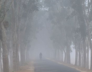 Rear view of man walking on road in foggy weather