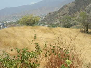 Scenic view of field against mountains