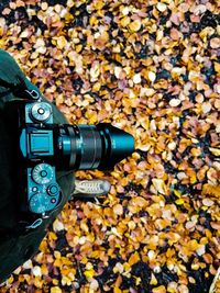 Close-up of camera falling on leaves during autumn