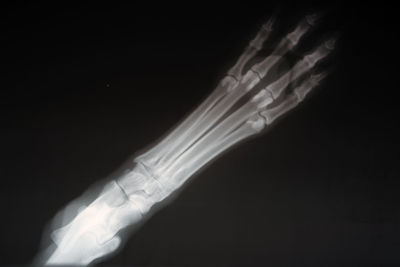 Close-up of human hand against black background