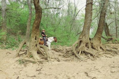 People sitting on tree trunk in forest