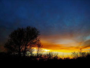 Silhouette trees on field against sky at sunset